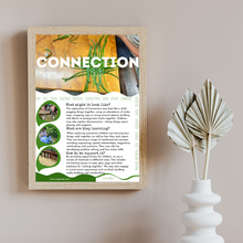 Load image into Gallery viewer, Schema Play Posters - Set of 11
