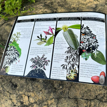 Load image into Gallery viewer, The Bungee Jumping Caterpillars