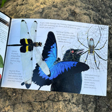 Load image into Gallery viewer, The Bungee Jumping Caterpillars