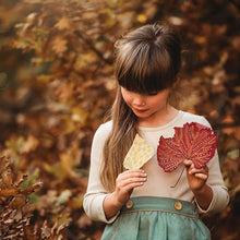 Load image into Gallery viewer, Your Wild Child - Inspired Natural Play Store