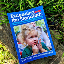 Load image into Gallery viewer, Exceeding the Standards - Third edition - Planning for continuous quality improvement