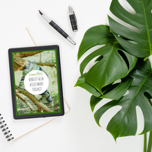 Load image into Gallery viewer, Benefit Risk Assessment Toolkit - Inspired Natural Play Store