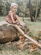 Load image into Gallery viewer, Bamboo Construct and Roll Set