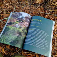 Load image into Gallery viewer, Beyond The Gate by Claire Warden