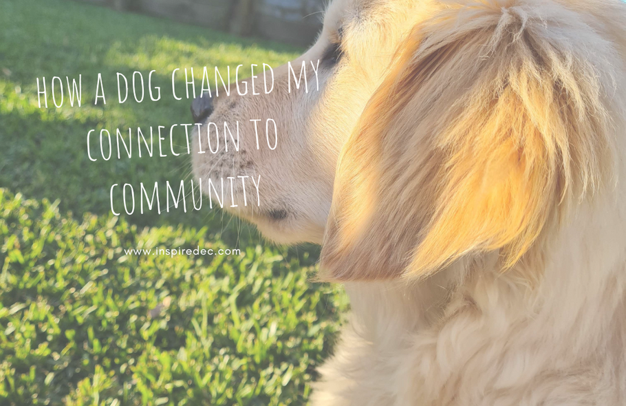 How a dog changed my connection to community