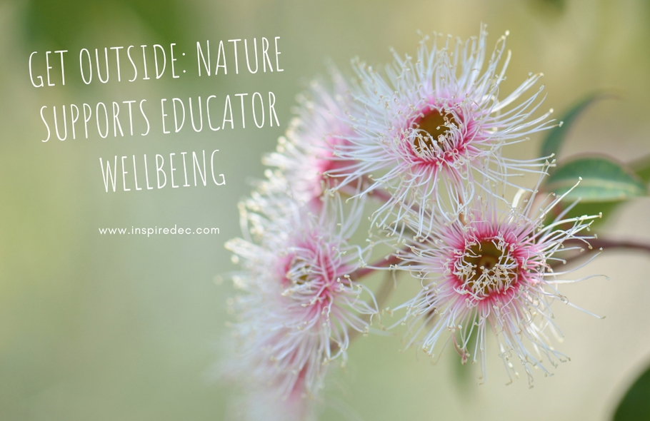 Get Outside: Nature Supports Educator Wellbeing