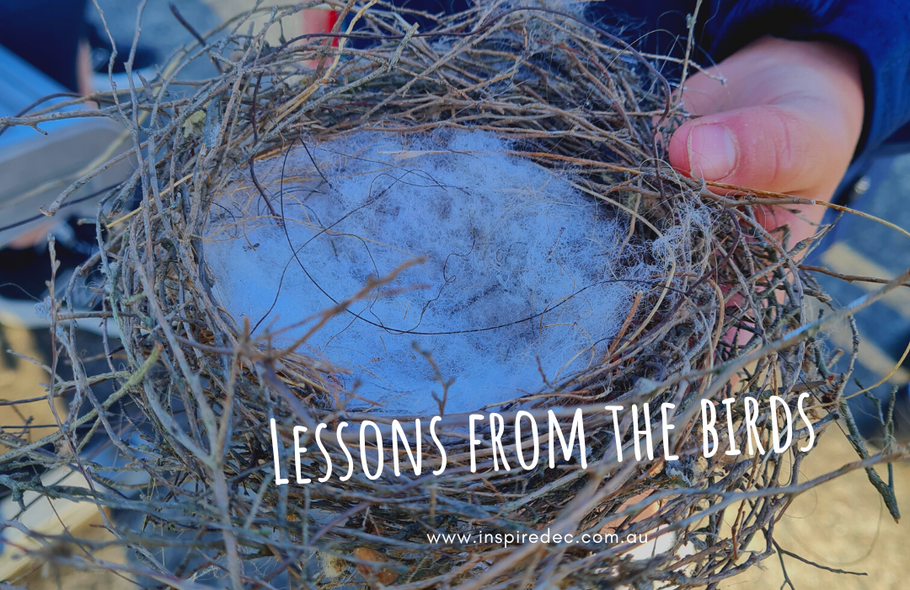 Lessons from the Birds