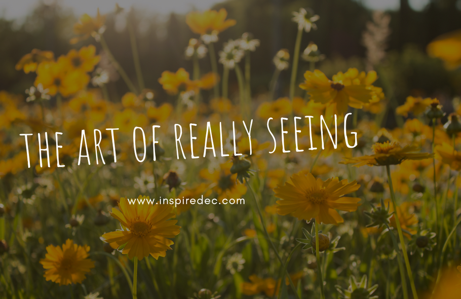 The Art of Really Seeing