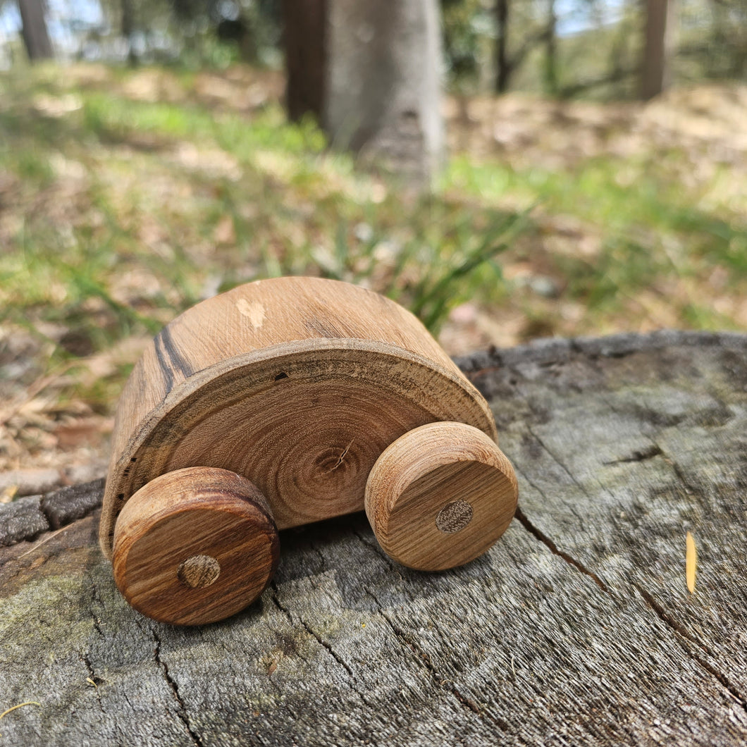 Rustic Bug Car