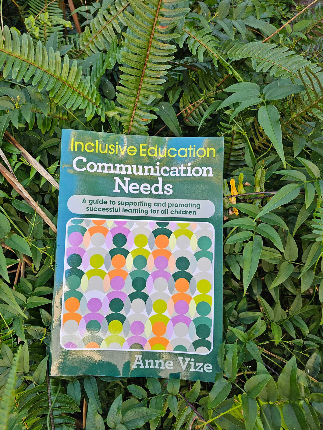 Inclusive Education - Communication Needs
