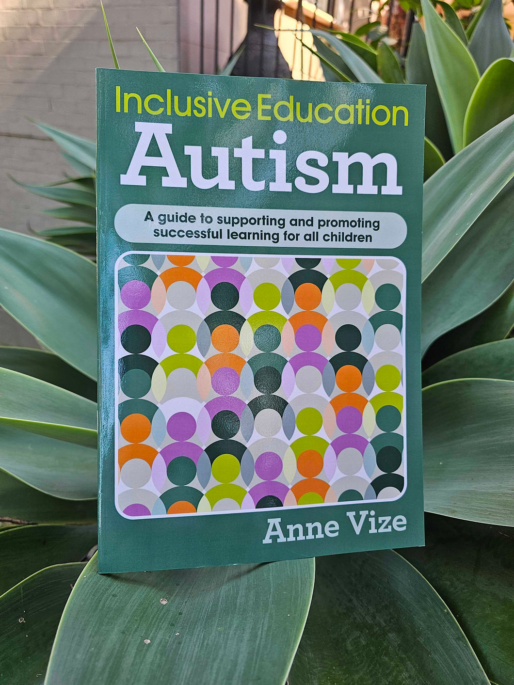 Inclusive Education - Autism