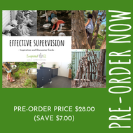 Effective Supervision Inspiration and Discussion Cards