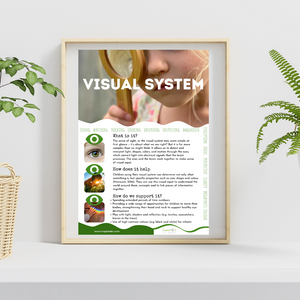 Understanding the Sensory Systems Poster Set - Set of 8