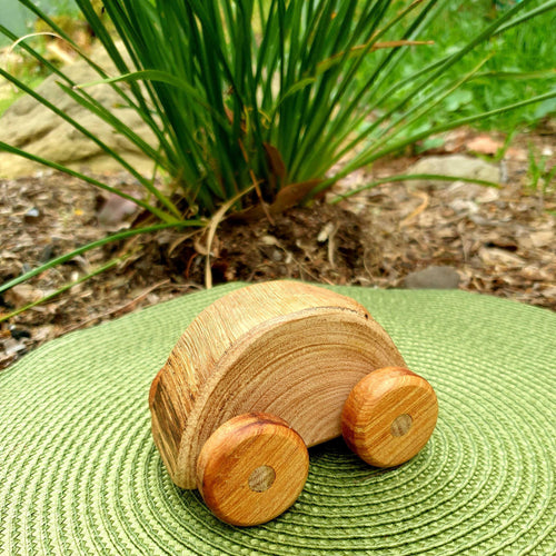 Rustic Bug Car - Inspired Natural Play Store