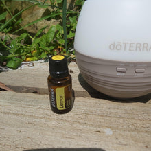 Load image into Gallery viewer, doTERRA - Lemon - Inspired Natural Play Store
