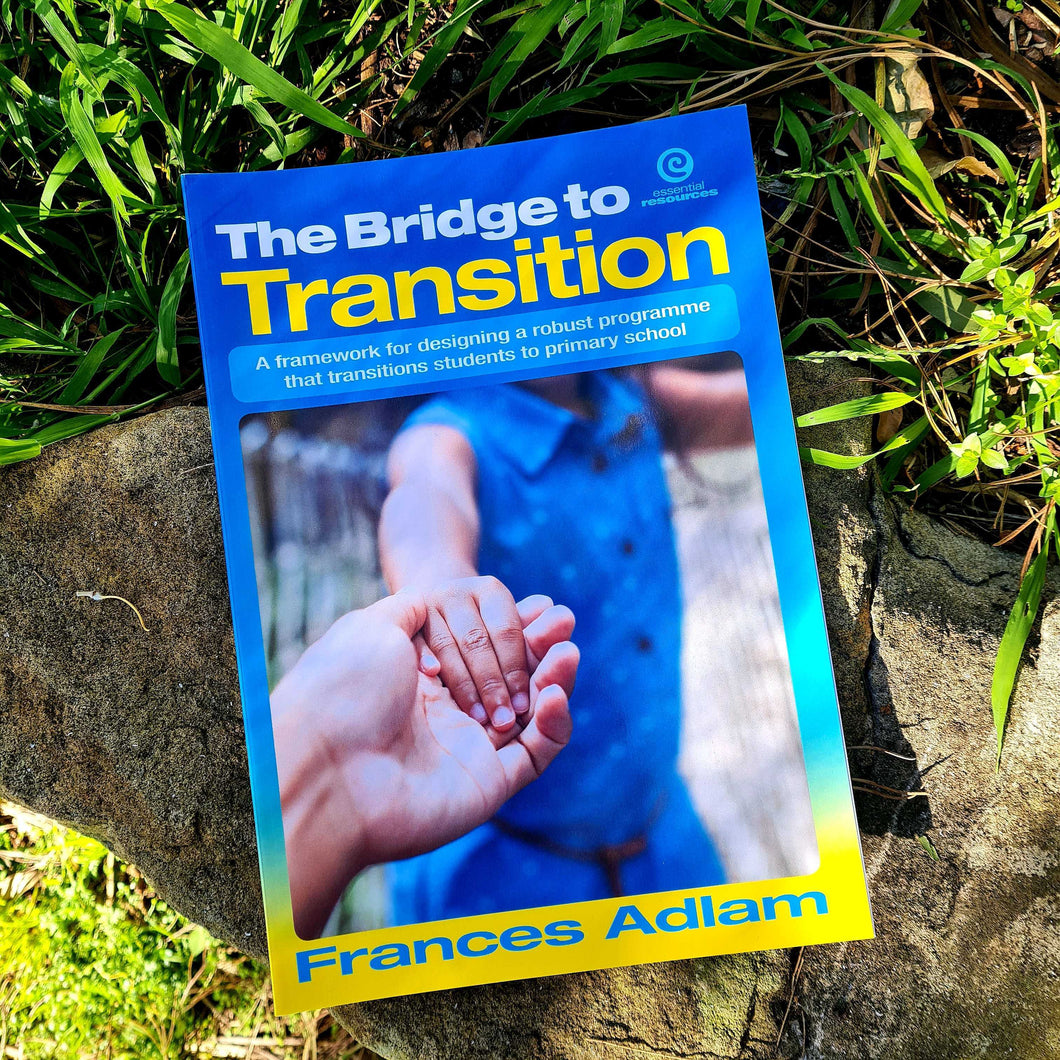 The Bridge to Transition