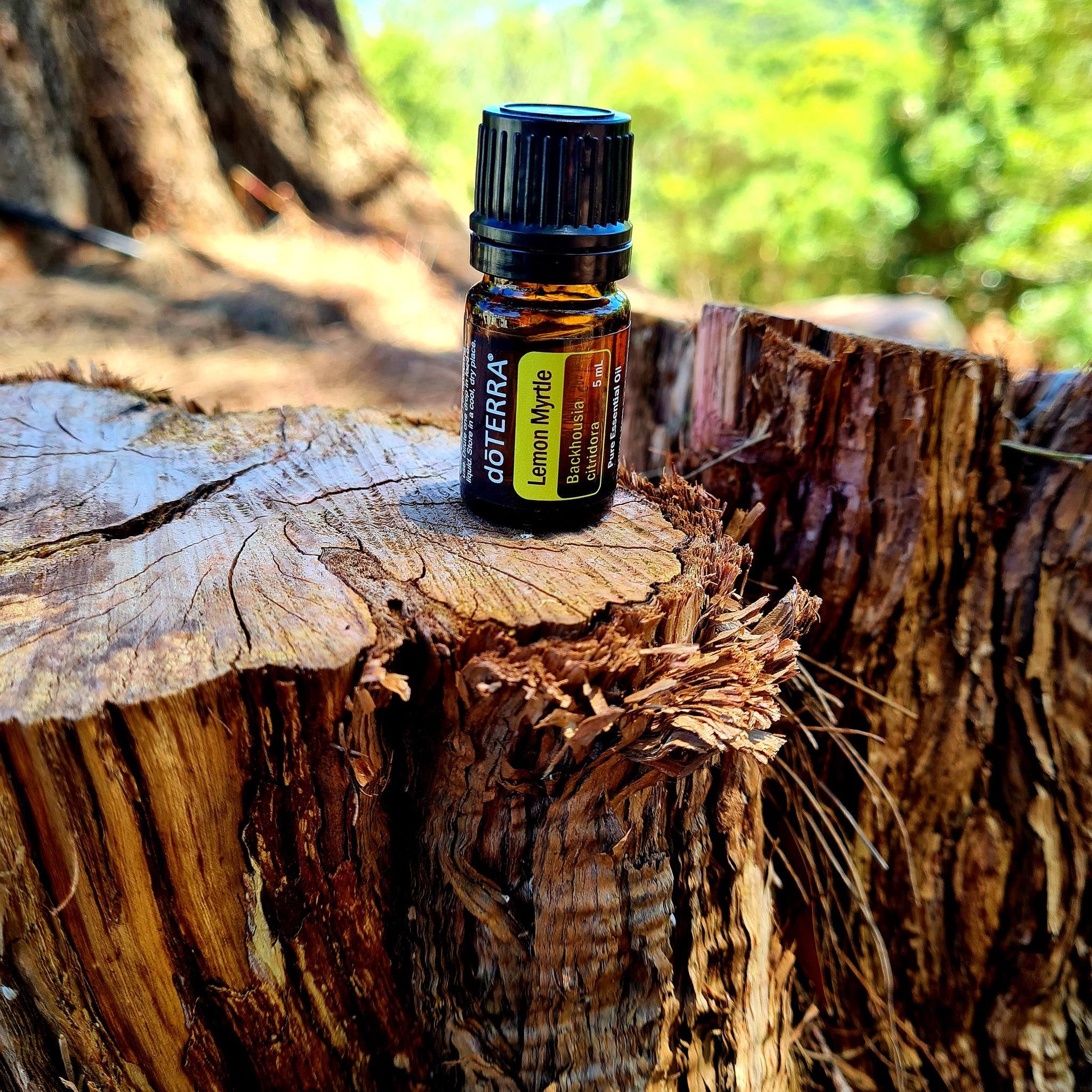 doTERRA ESSENTIAL OILS – Inspired EC