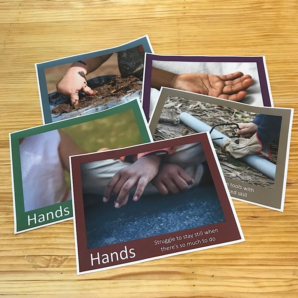 Hands Poster Set #1 - Inspired Natural Play Store