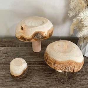 Wooden Mushrooms - set of 3
