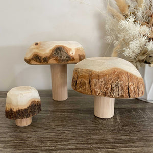Wooden Mushrooms - set of 3