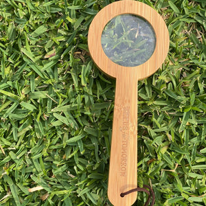 Bamboo Magnifying Glass