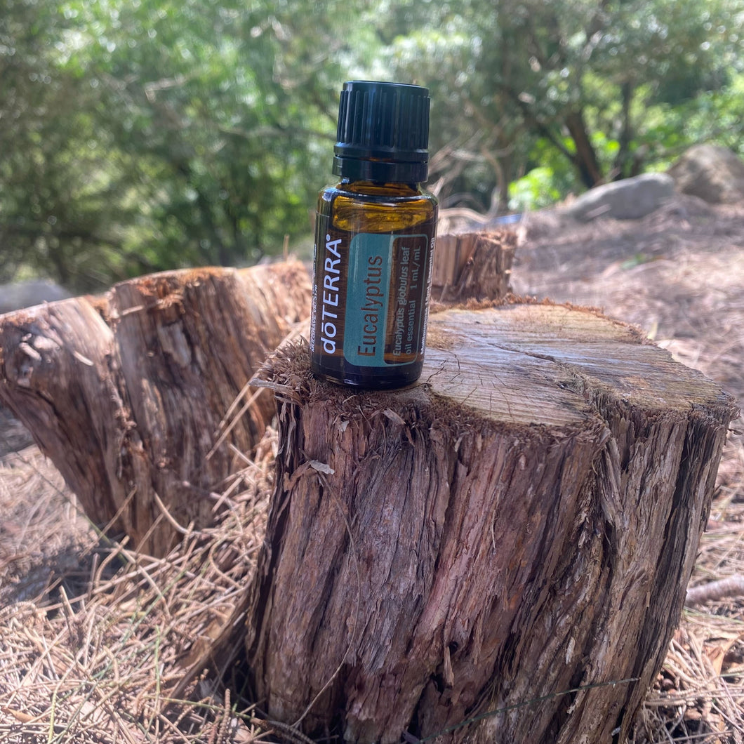 doTERRA Eucalyptus Oil