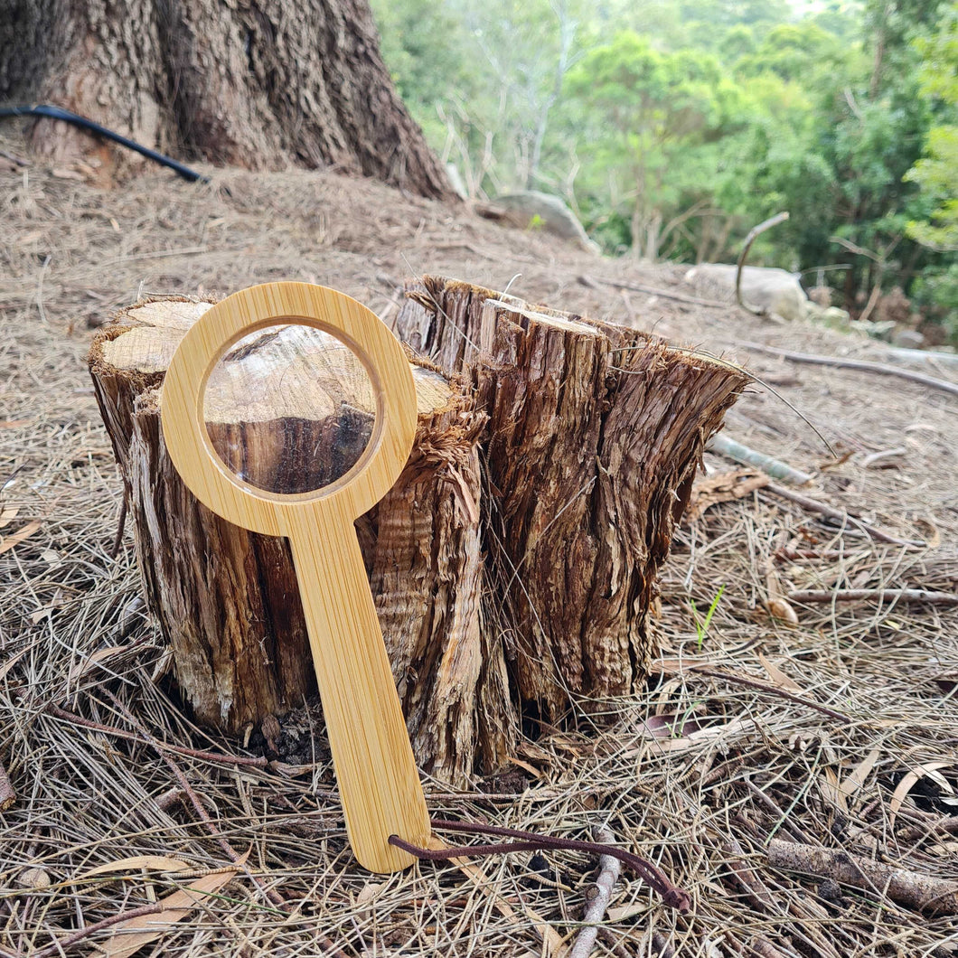 Bamboo Magnifying Glass