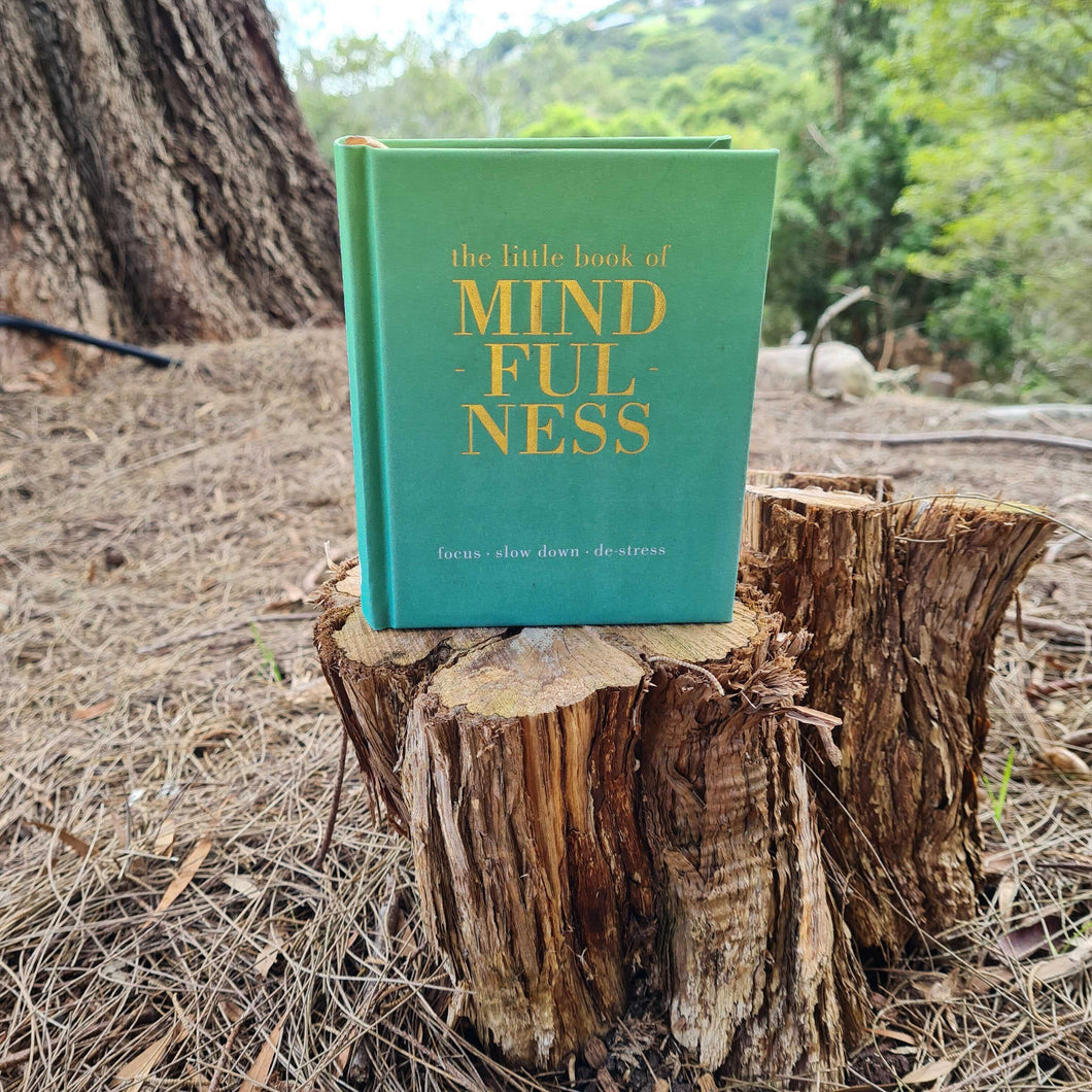 The Little Book of Mindfulness: Focus. Slow Down. De-stress. - BookPal