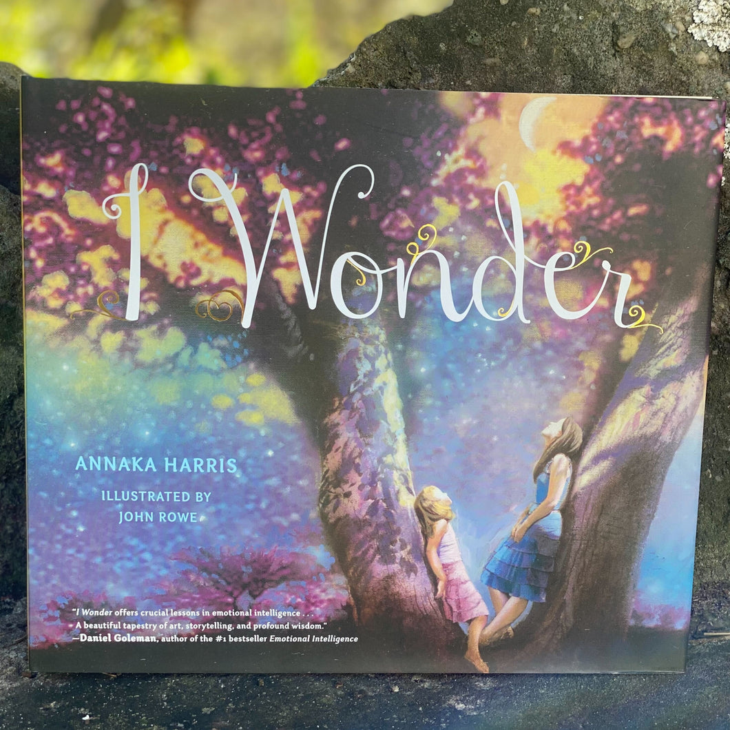 I Wonder by Annaka Harris